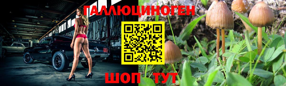 Псилоцибиновые грибы MAGIC MUSHROOMS Златоуст