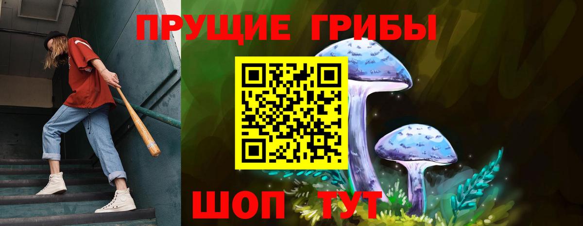 Псилоцибиновые грибы MAGIC MUSHROOMS  Вход с VPN  Златоуст 